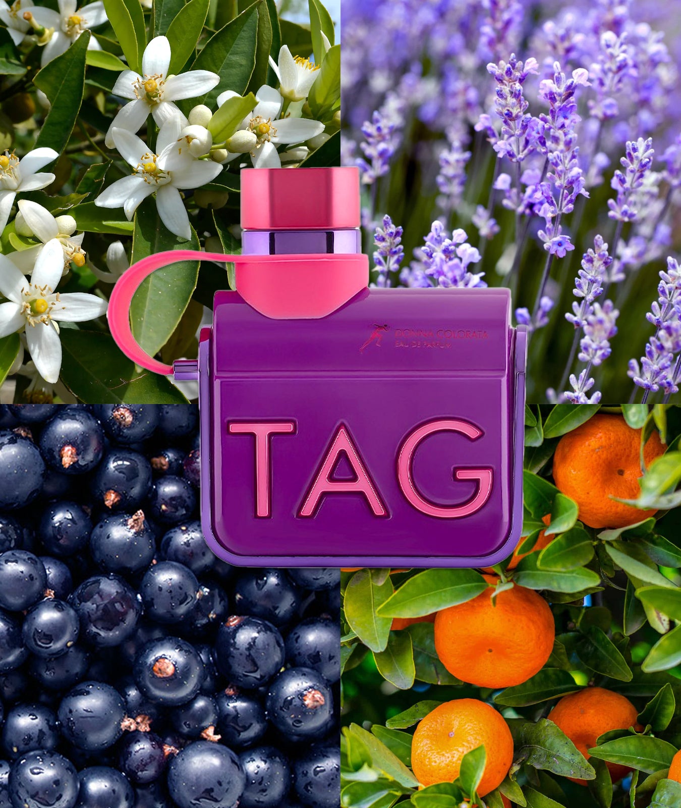 TAG DONNA COLORATA EDP 100ML